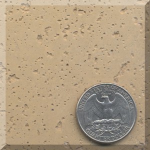 Blair color chip with quarter quoin for scale comparison